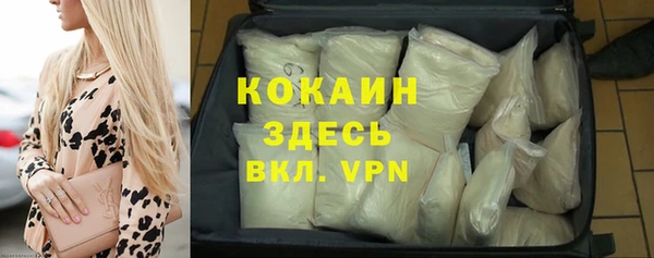 мдпв Корсаков