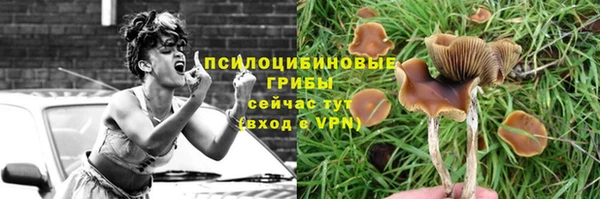 мдпв Корсаков